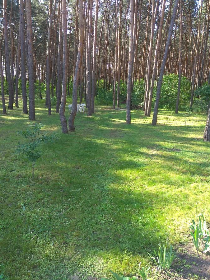 Hotel Tropicana Svitlovodsk Eksteriør bilde